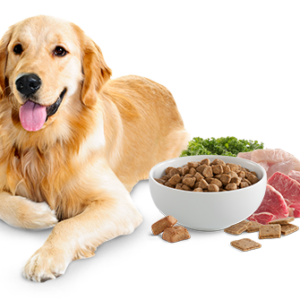 Alimentazione naturale