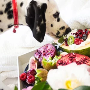 I MIGLIORI INGREDIENTI PER UN’ALIMENTAZIONE EQUILIBRATA