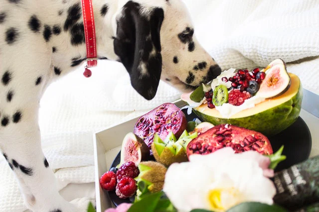 I MIGLIORI INGREDIENTI PER UN’ALIMENTAZIONE EQUILIBRATA