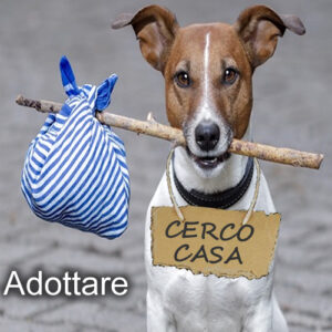 adottare