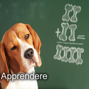 apprendere