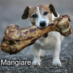 mangiare