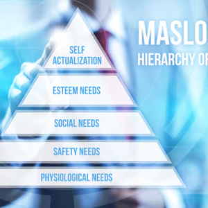 Adozioni consapevoli: di che cosa ha bisogno un cane? Il superamento della piramide di Maslow