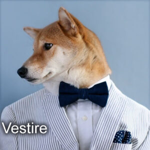 vestire