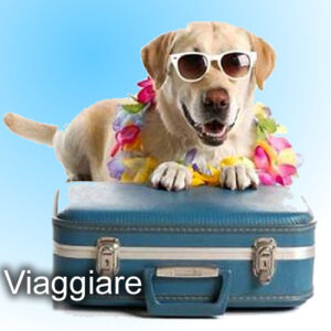 viaggiare
