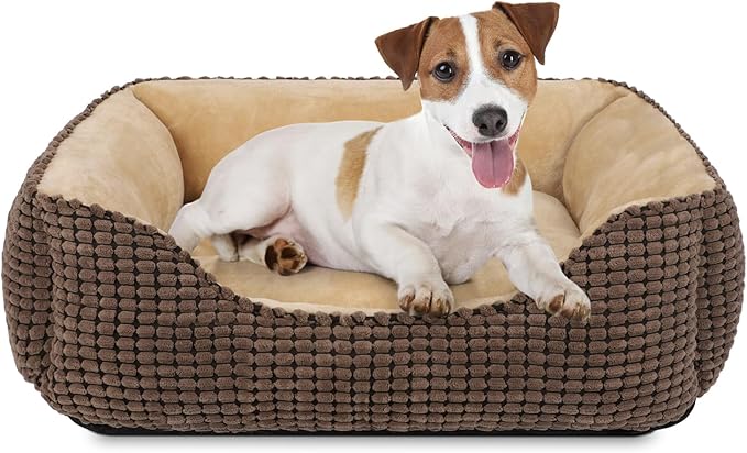 LA CUCCIA DA INTERNO PERFETTA: Comfort, Stile e Praticità